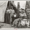 Drought refugees from Texas encamped in California near Exeter. Seven in family