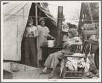 Drought refugees from Texas encamped in California near Exeter. Seven in family