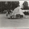 Texas drought refugees in cotton camp near Exeter, California