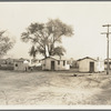 Housing for workers of the Frick Ranch, California. The condition and plan of this camp show marked influences of Resettlement Administration camps for migrants in this community