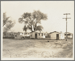 Housing for workers of the Frick Ranch, California. The condition and plan of this camp show marked influences of Resettlement Administration camps for migrants in this community