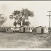 Housing for workers of the Frick Ranch, California. The condition and plan of this camp show marked influences of Resettlement Administration camps for migrants in this community