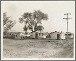 Housing for workers of the Frick Ranch, California. The condition and plan of this camp show marked influences of Resettlement Administration camps for migrants in this community