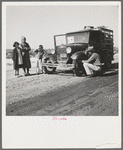 Drought refugee family from McAlester, Oklahoma. Arrived in California October 1936 to join the cotton harvest. Near Tulare, California