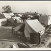 Section of Kern migrant camp, California
