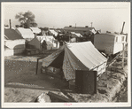 Section of Kern migrant camp, California