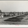 View of Kern County migrant camp showing community garden plots. California