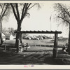 Entrance and view of Kern migrant camp. California