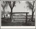 Entrance and view of Kern migrant camp. California