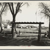 Entrance and view of Kern migrant camp. California