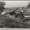 Migrant camp on the outskirts of Sacramento, California on the American River. About thirty families lived on this flat