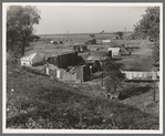 Migrant camp on the outskirts of Sacramento, California on the American River. About thirty families lived on this flat