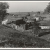 Migrant camp on the outskirts of Sacramento, California on the American River. About thirty families lived on this flat