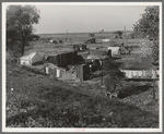 Migrant camp on the outskirts of Sacramento, California on the American River. About thirty families lived on this flat