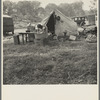 American River camp, Sacramento. Home of Tennessee family, now migratory workers. Seven in family, came to California July 1935, following relatives who had come in 1933. Father was a coal miner in Tennessee