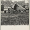 American River camp, Sacramento. Home of Tennessee family, now migratory workers. Seven in family, came to California July 1935, following relatives who had come in 1933. Father was a coal miner in Tennessee