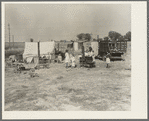 Wife and five children of migratory fruit worker. American River camp on outskirts of Sacramento, California. Have worked in the fruit since 1931. "We don't make a living, but we live on what we make"