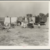Wife and five children of migratory fruit worker. American River camp on outskirts of Sacramento, California. Have worked in the fruit since 1931. "We don't make a living, but we live on what we make"