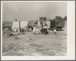 Wife and five children of migratory fruit worker. American River camp on outskirts of Sacramento, California. Have worked in the fruit since 1931. "We don't make a living, but we live on what we make"