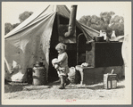 Child of migratory worker. American River camp near Sacramento, California