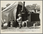 Child of migratory worker. American River camp near Sacramento, California