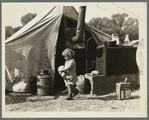 Child of migratory worker. American River camp near Sacramento, California