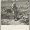 Daughter of a migrant fruit worker. American River camp outside of Sacramento, California