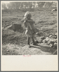 Daughter of a migrant fruit worker. American River camp outside of Sacramento, California