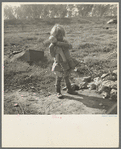 Daughter of a migrant fruit worker. American River camp outside of Sacramento, California