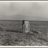 Sanitary facilities for migratory workers. Ditch bank camp. Squatters near Arvin, Kern County, California