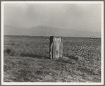 Sanitary facilities for migratory workers. Ditch bank camp. Squatters near Arvin, Kern County, California