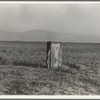 Sanitary facilities for migratory workers. Ditch bank camp. Squatters near Arvin, Kern County, California