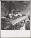 Food supply of migrant family. American River camp near Sacramento, California