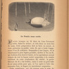 Le Pendu sans corde