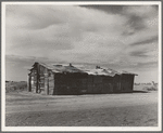 Housing typical of that afforded Mexican field workers of the Imperial Valley. These people are not migrants, but live on the edge of the ranches and work in peas and melons