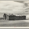 Housing typical of that afforded Mexican field workers of the Imperial Valley. These people are not migrants, but live on the edge of the ranches and work in peas and melons