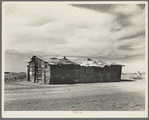 Housing typical of that afforded Mexican field workers of the Imperial Valley. These people are not migrants, but live on the edge of the ranches and work in peas and melons