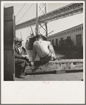 Longshoremen's lunch hour. San Francisco waterfront, California