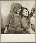 Children of migratory carrot pullers, Mexicans. Imperial Valley, California