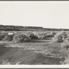 California migratory farm laborers, drought refugees from Oklahoma, camped in the brush on the river bottom with no water or sanitation. On the outskirts of Brawley. Imperial Valley, California