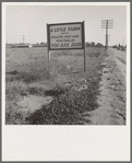 Real estate sign along the highway on which hundreds of drought refugees and migrant workers travel. Riverside County, California