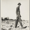 Drought refugee in California. 1937