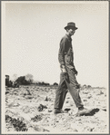 Drought refugee in California. 1937
