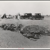Drought refugees in California near Holtville