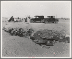 Drought refugees in California near Holtville