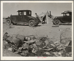 Refugee families encamped near Holtville, California