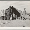 Family of four to be returned to Oklahoma by the Relief Administration. "They won't go until they get so hungry that there's nothing else for them to do. They won't go--not twenty-five percent will go" said a transient case worker in Imperial County