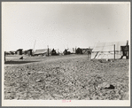 Camp of migratory workers. Imperial County, California