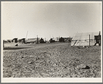 Camp of migratory workers. Imperial County, California