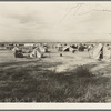 Auto camp north of Calipatria, California. Approximately eighty families from the Dust Bowl are camped here. They pay fifty cents a week. The only available work now is agricultural labor